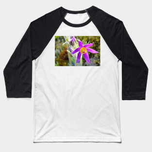 Pasque Flower Baseball T-Shirt